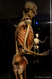 2-IMG_5963