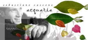 foto sebastiano cascone ACQUARIA