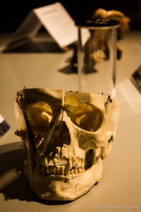 3-IMG_5967