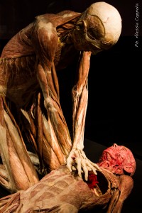 4-IMG_6008 (1)