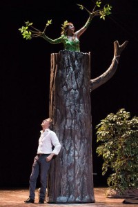 Teatro: Peter Stein all'Argentina, Der Park di B.Strauss